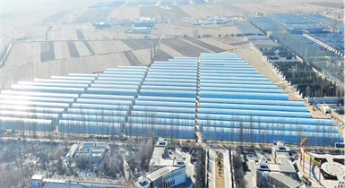 准格尔旗现代设施农业科技转化示范园