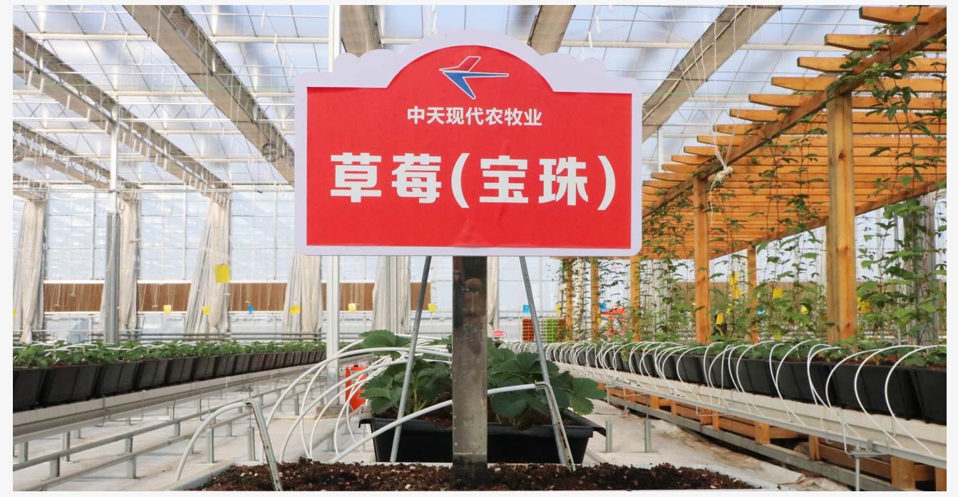 准格尔旗现代智慧设施农业产业园_20.jpg