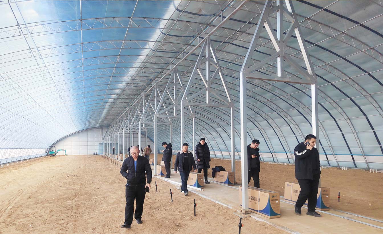 大路镇苗家滩社区项目-智能温室、日光温室建设项目_09.jpg