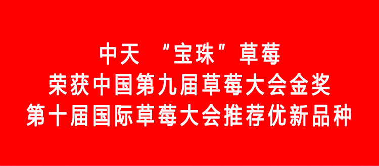 草莓1920网50像素2025年3月12日网页_01.jpg