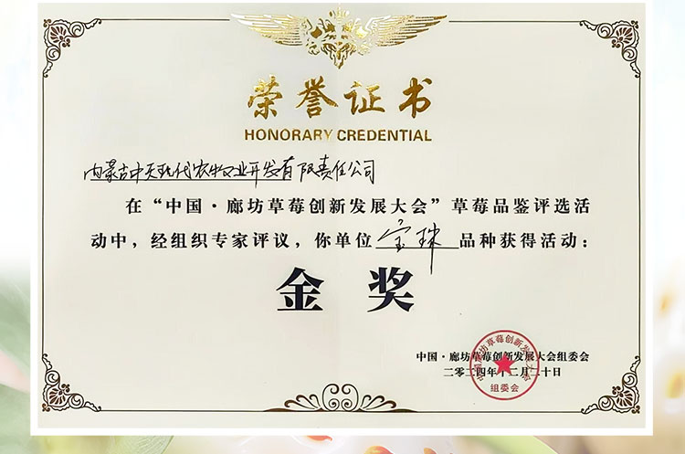 草莓1920网50像素2025年3月12日网页_03.jpg