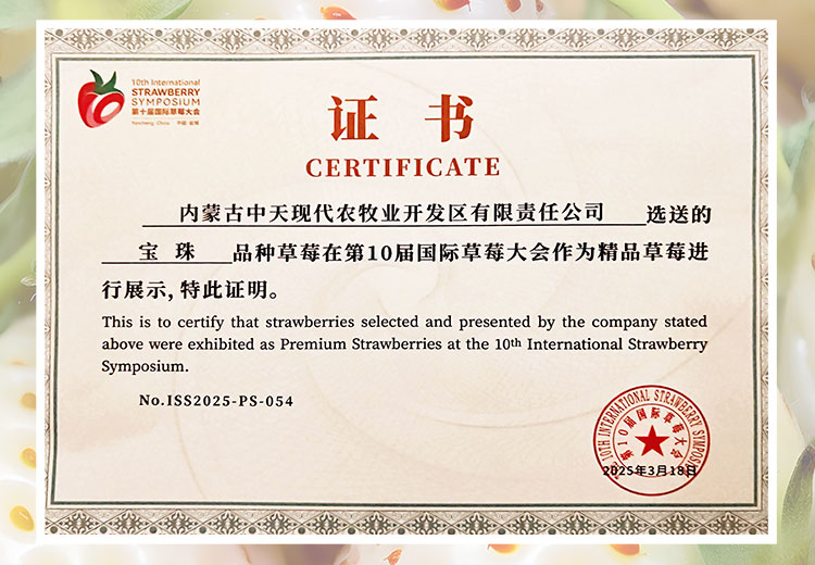 草莓1920网50像素2025年3月12日网页_04.jpg