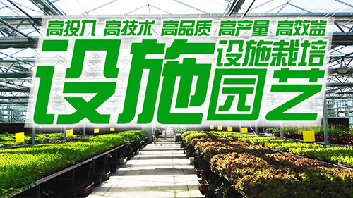 “呼和浩特设施园艺”
